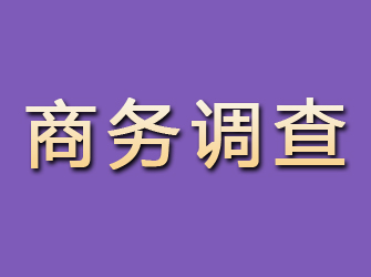 市北商务调查